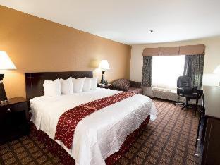 Best Western Oakbrook Inn Oakbrook Terrace Camera foto